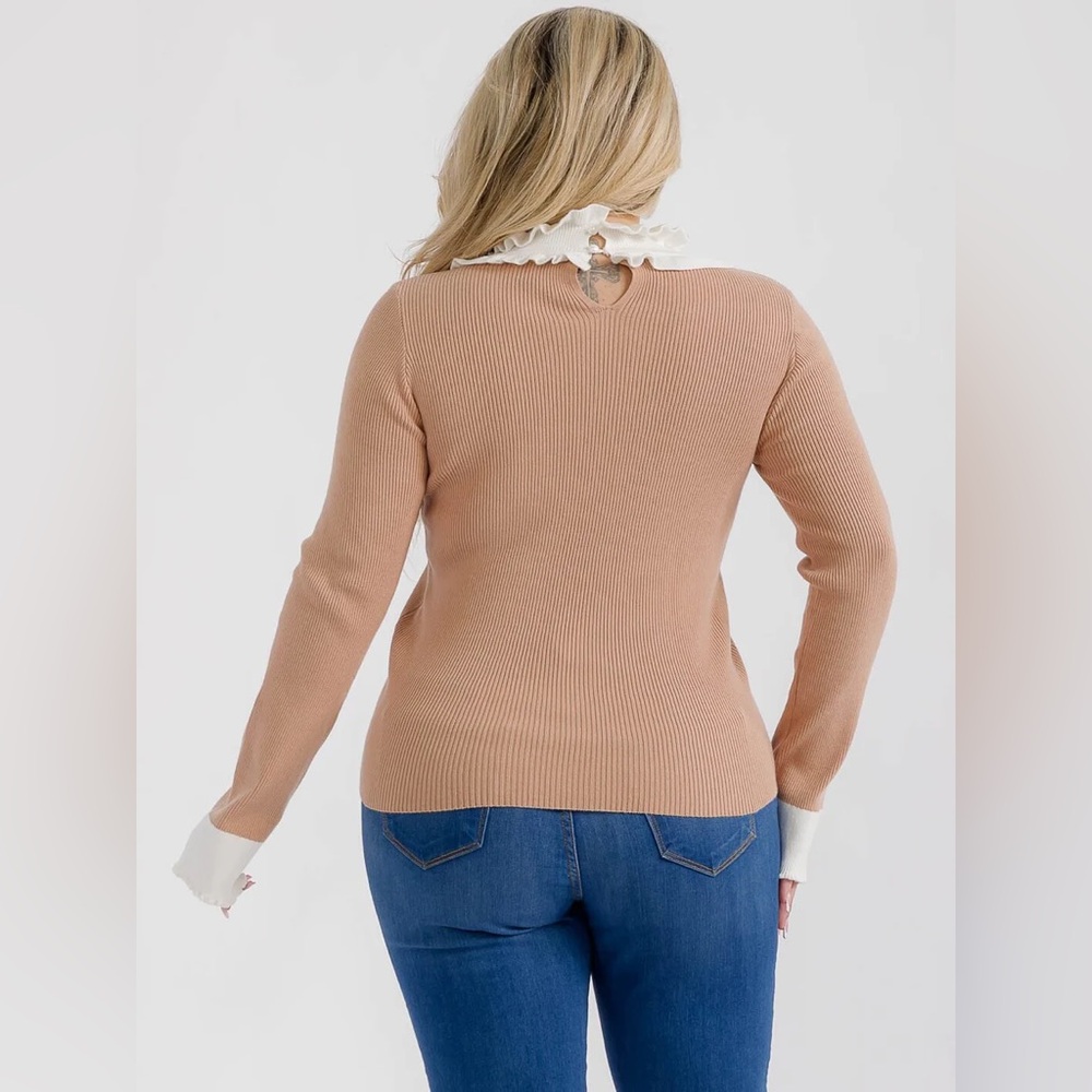 054 PLUS Identity Long Sleeve Ruffle Collar Detail Ribbed Top - Picture 4 of 10